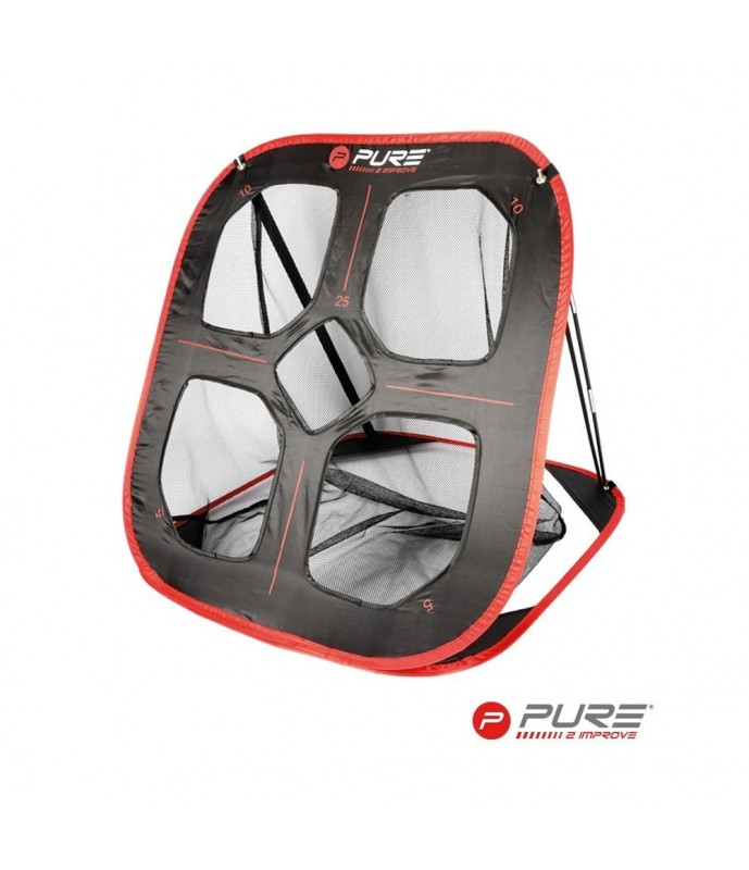 Pure2improve chip practice net