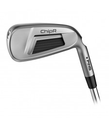 Ping ChipR