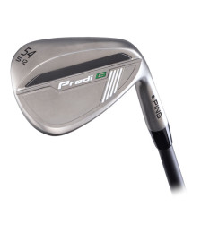 Ping Prodi G wedge